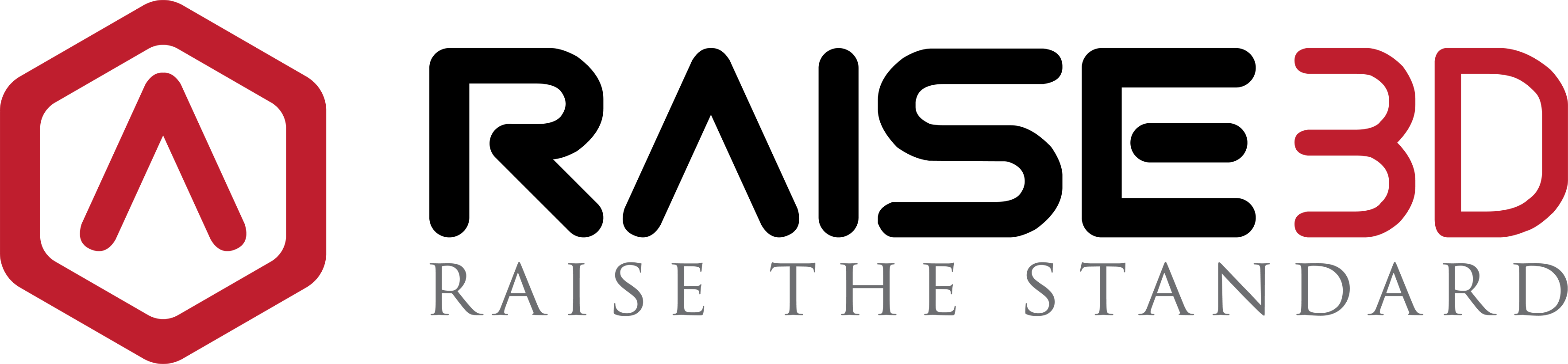 Logo RAISE3D with slogan 2 white background CMYK